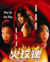 Hoa hồng lửa